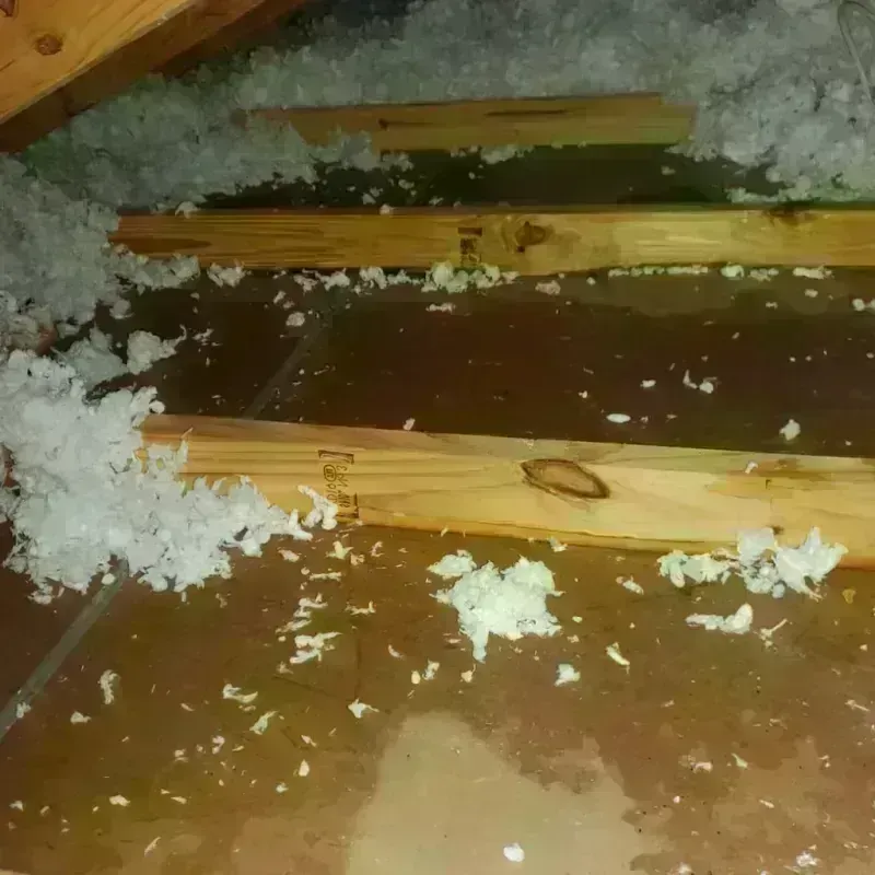 Attic Water Damage in Braintree, MA